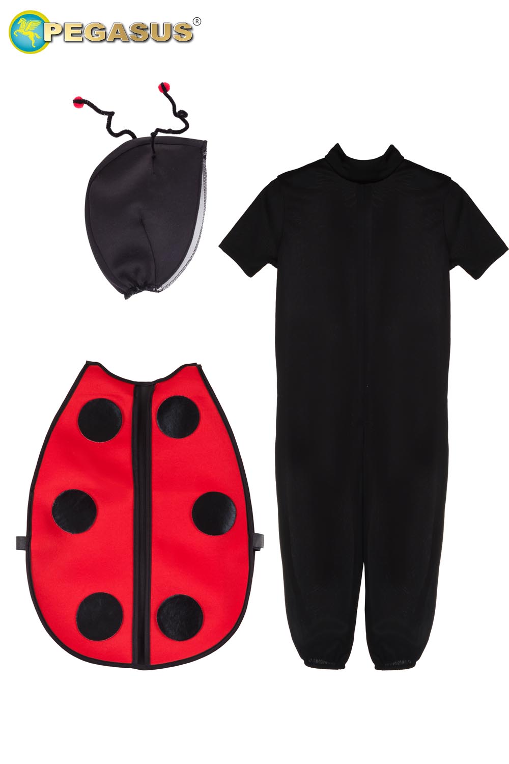 COCCINELLA